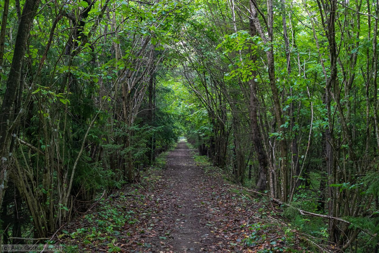 ������ ���