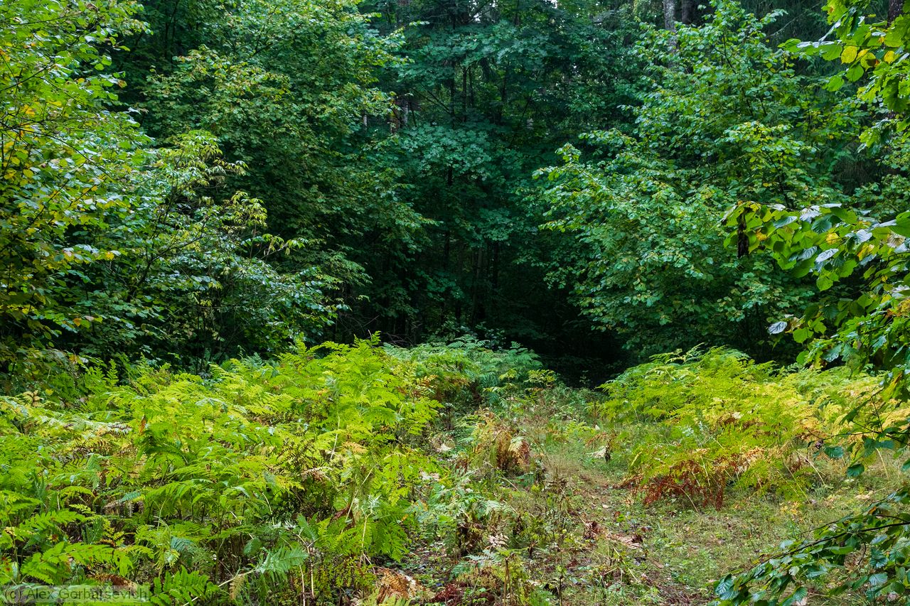 �������������� ������