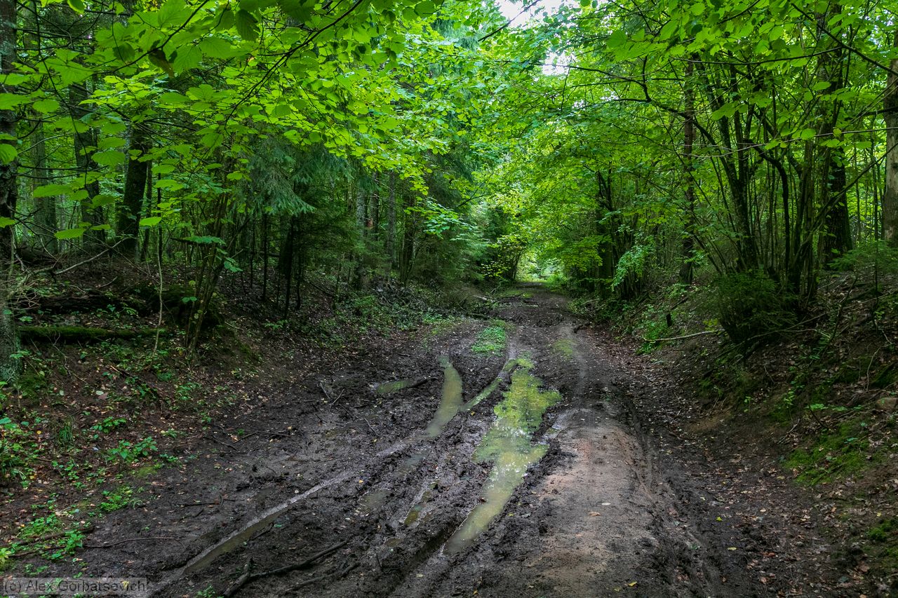 ��� ����� ����������