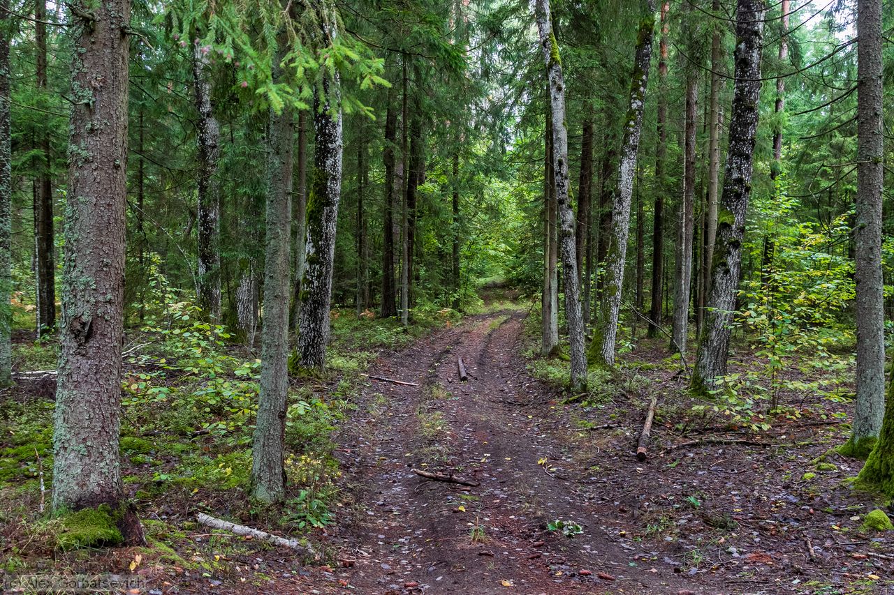 ������ � ���