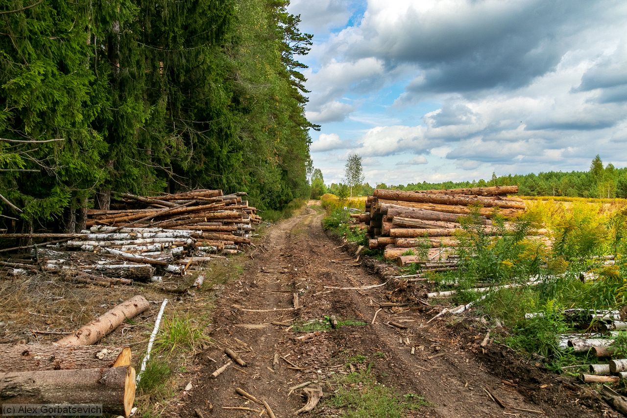 ����