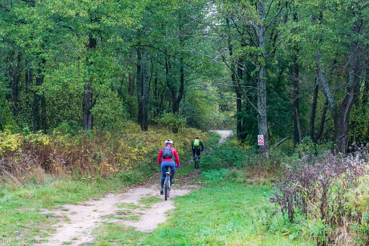 � ��������