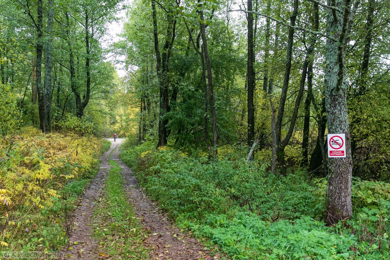 � ��� ��������