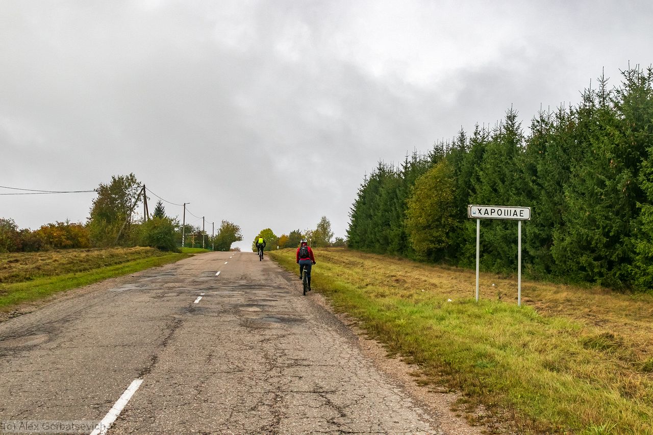 ������ ��� ���� �������