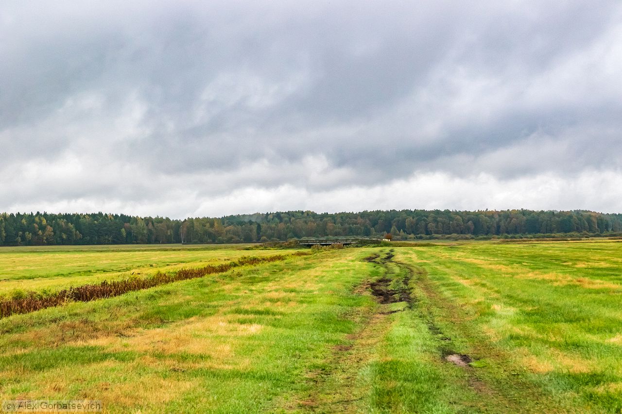 ������� ������