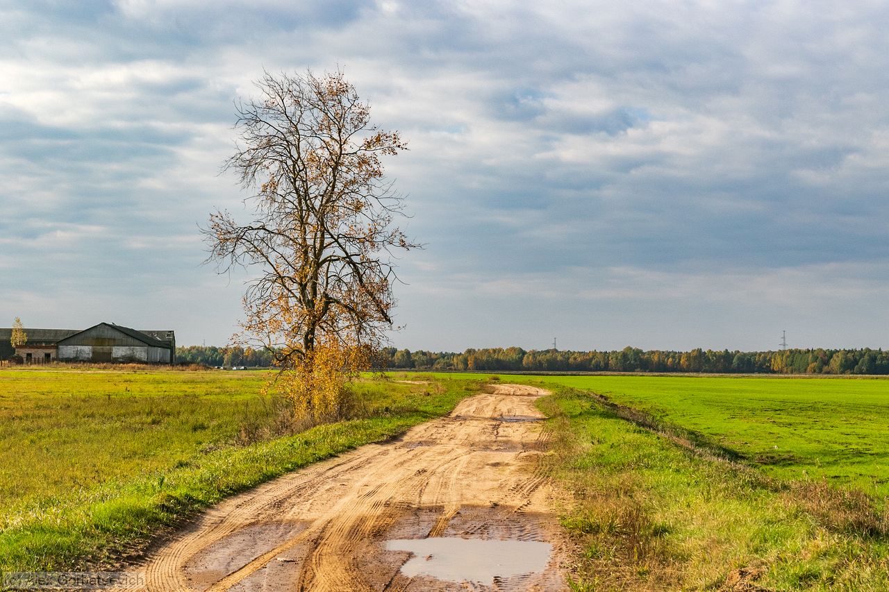 �������� ������