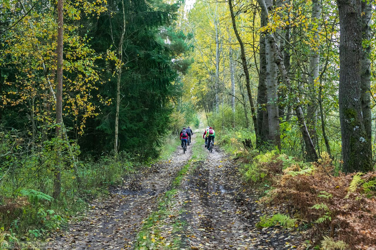 �� ������