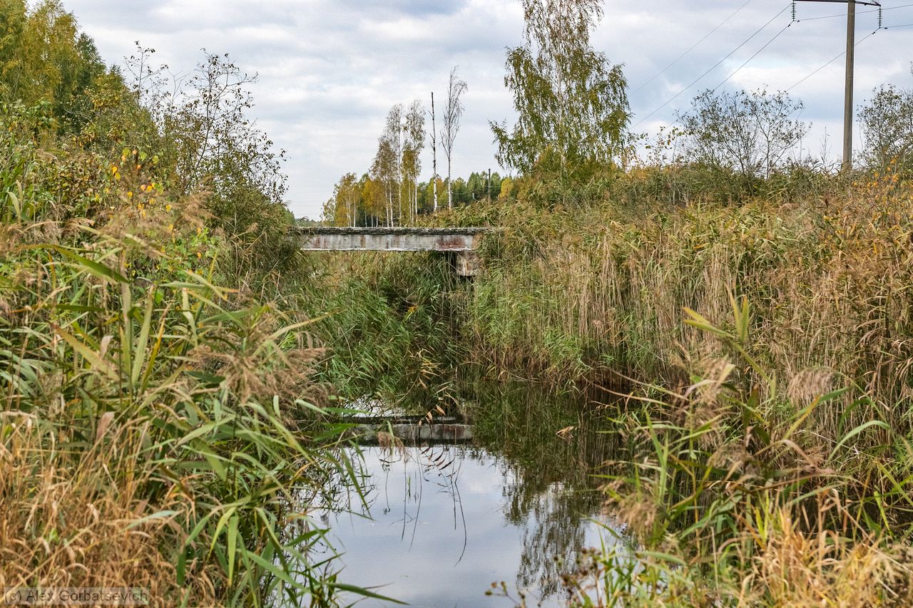 ���� ���