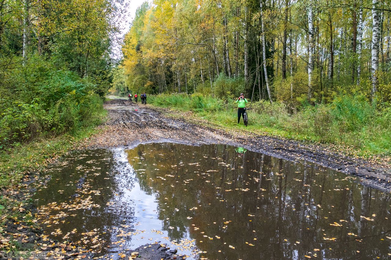 �� �����.. ��� ��� �� ������ ����