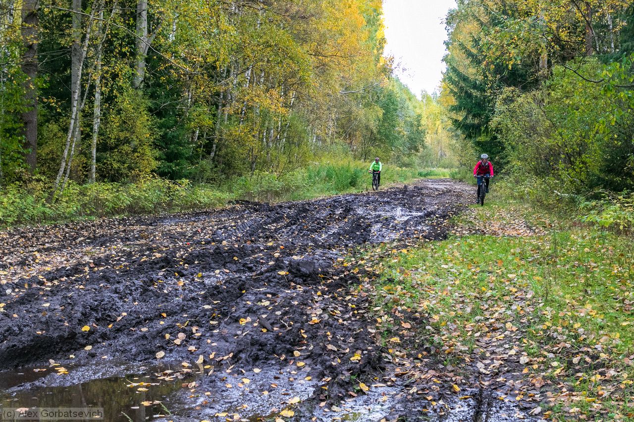 �� ������