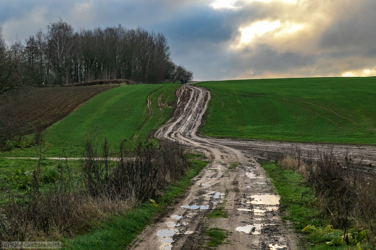 ������ � ������