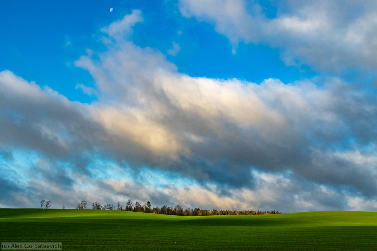 ������� �����