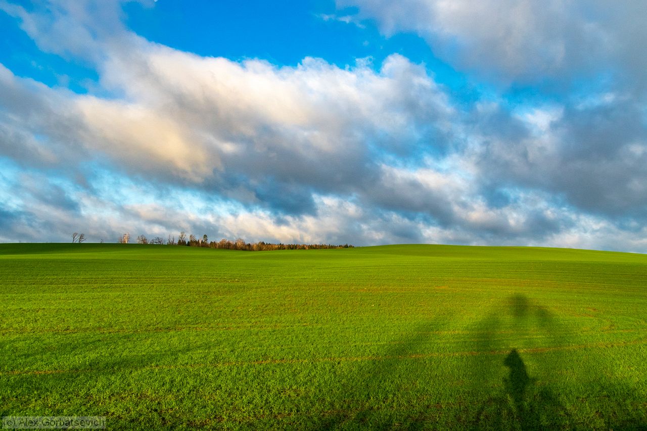 ����� windows xp