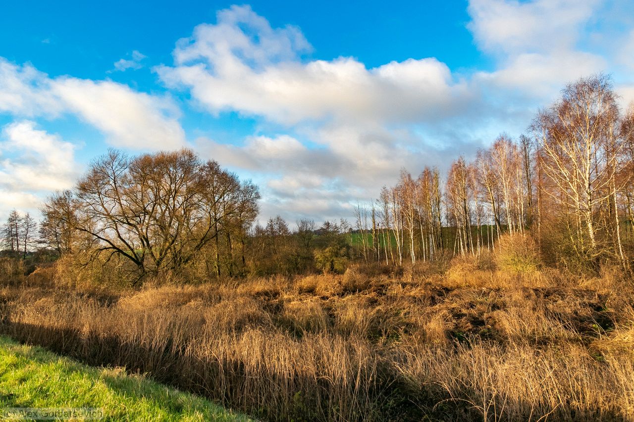 ��� ���-�� ������