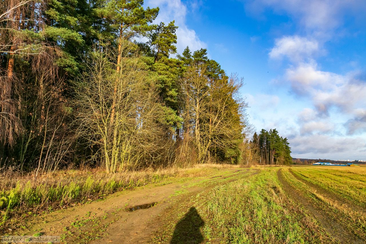 ���� � �������