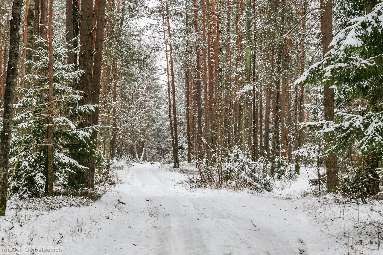 ����� � ����