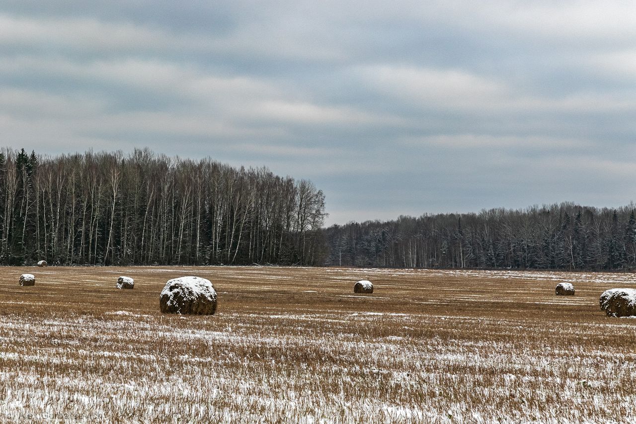 �� ������..