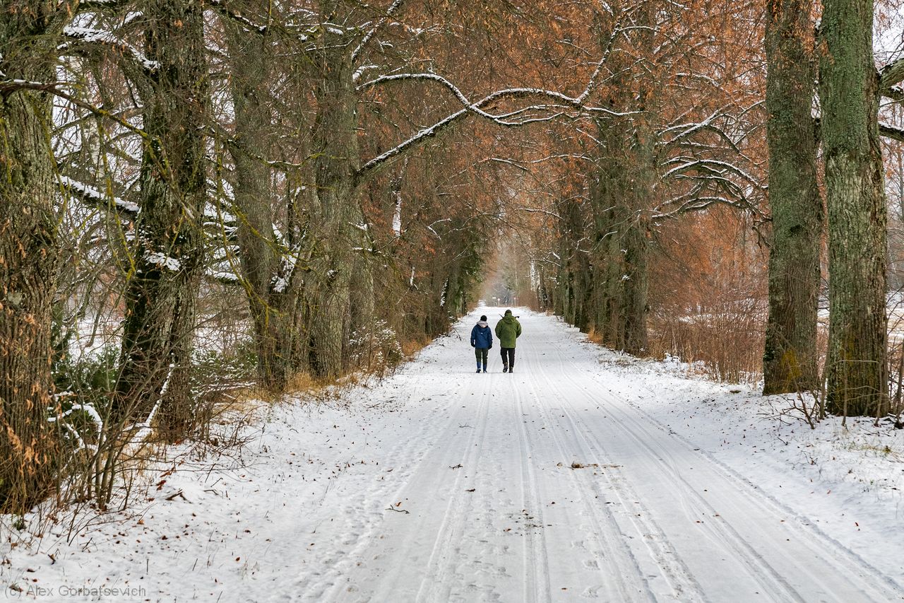 �������� �� �����