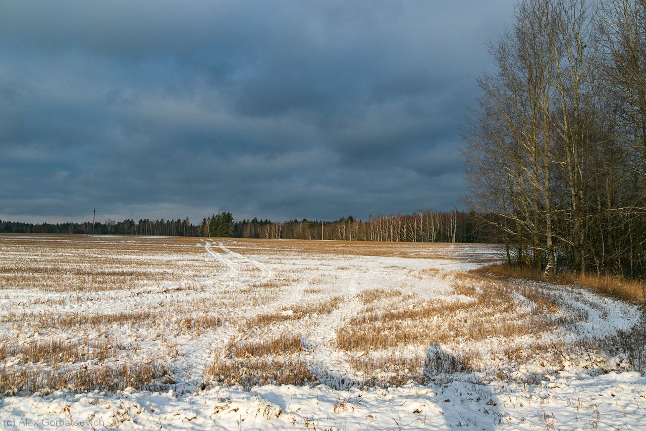 ������ �������