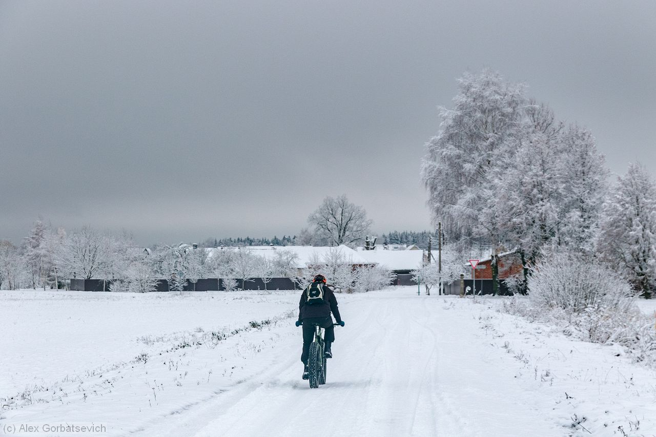 � ������ �������