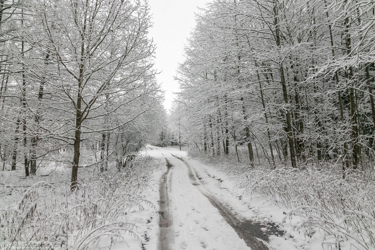 ������ � ����