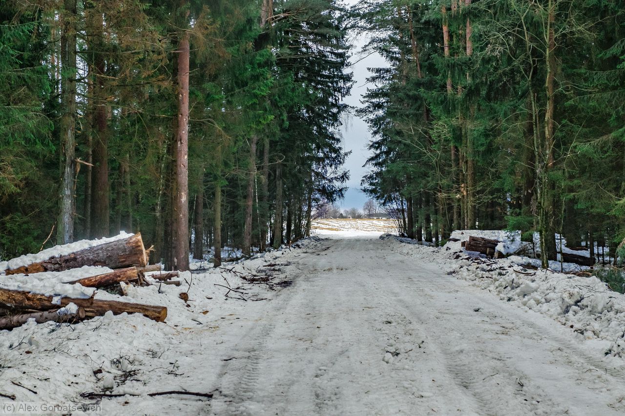 ������� �������