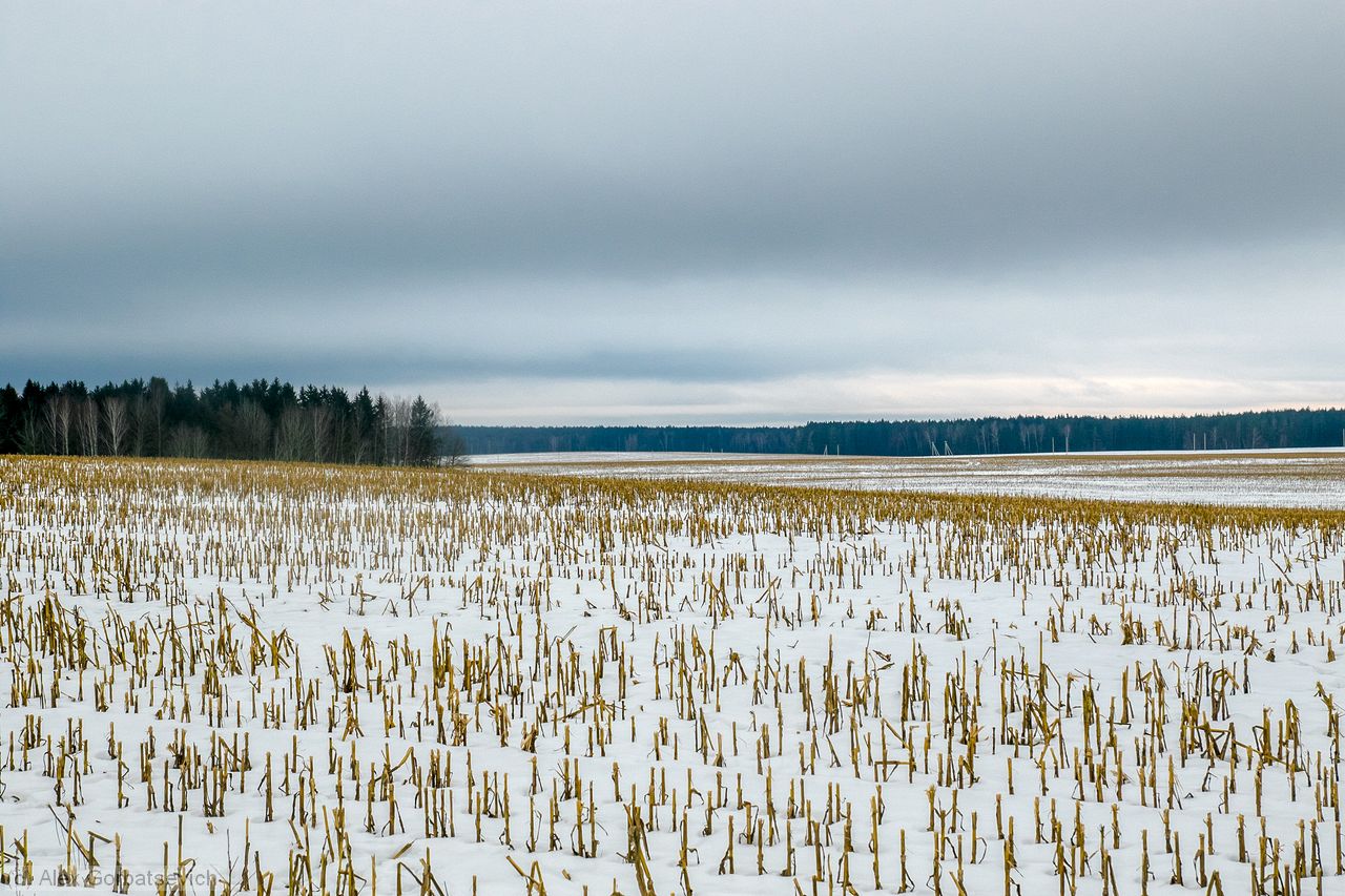 ���������� ����