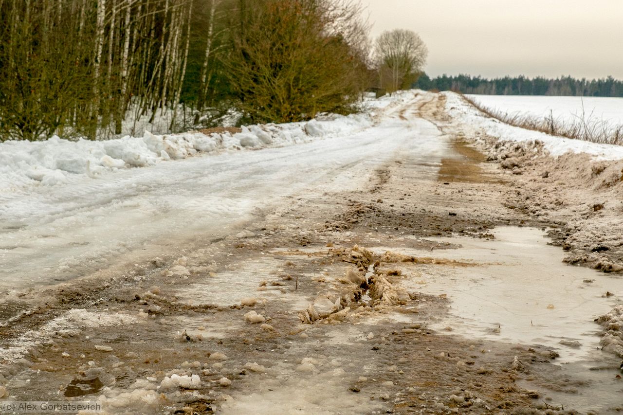 ���� � ������, ��� ������ ������