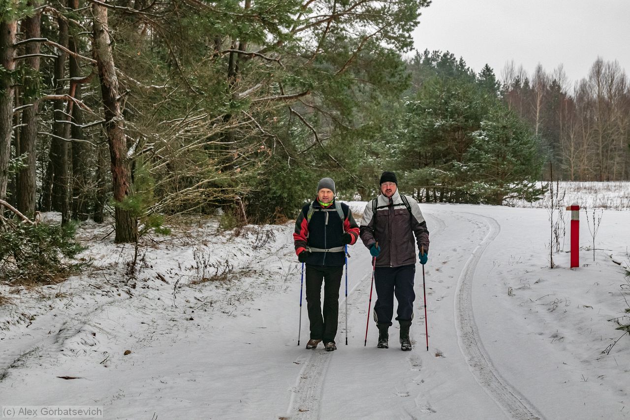 ������� �� �������