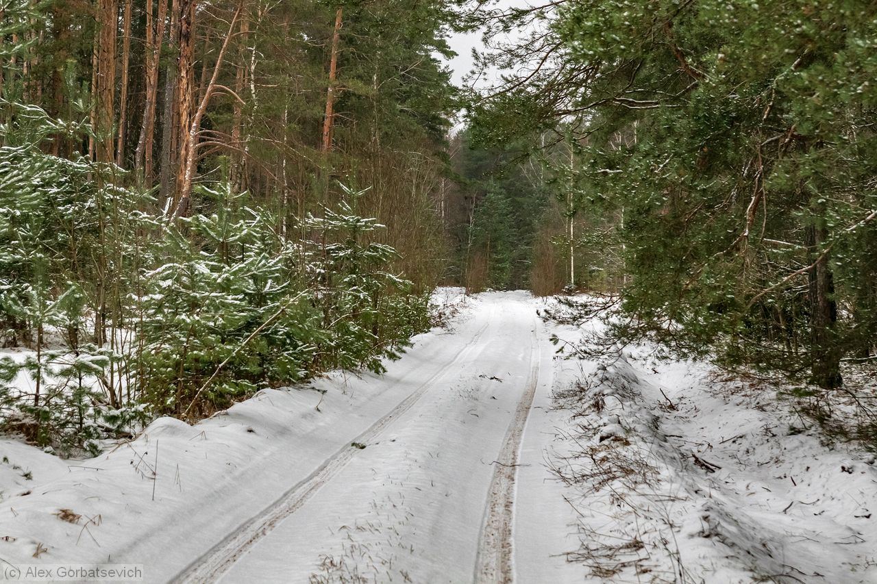 ������ �������