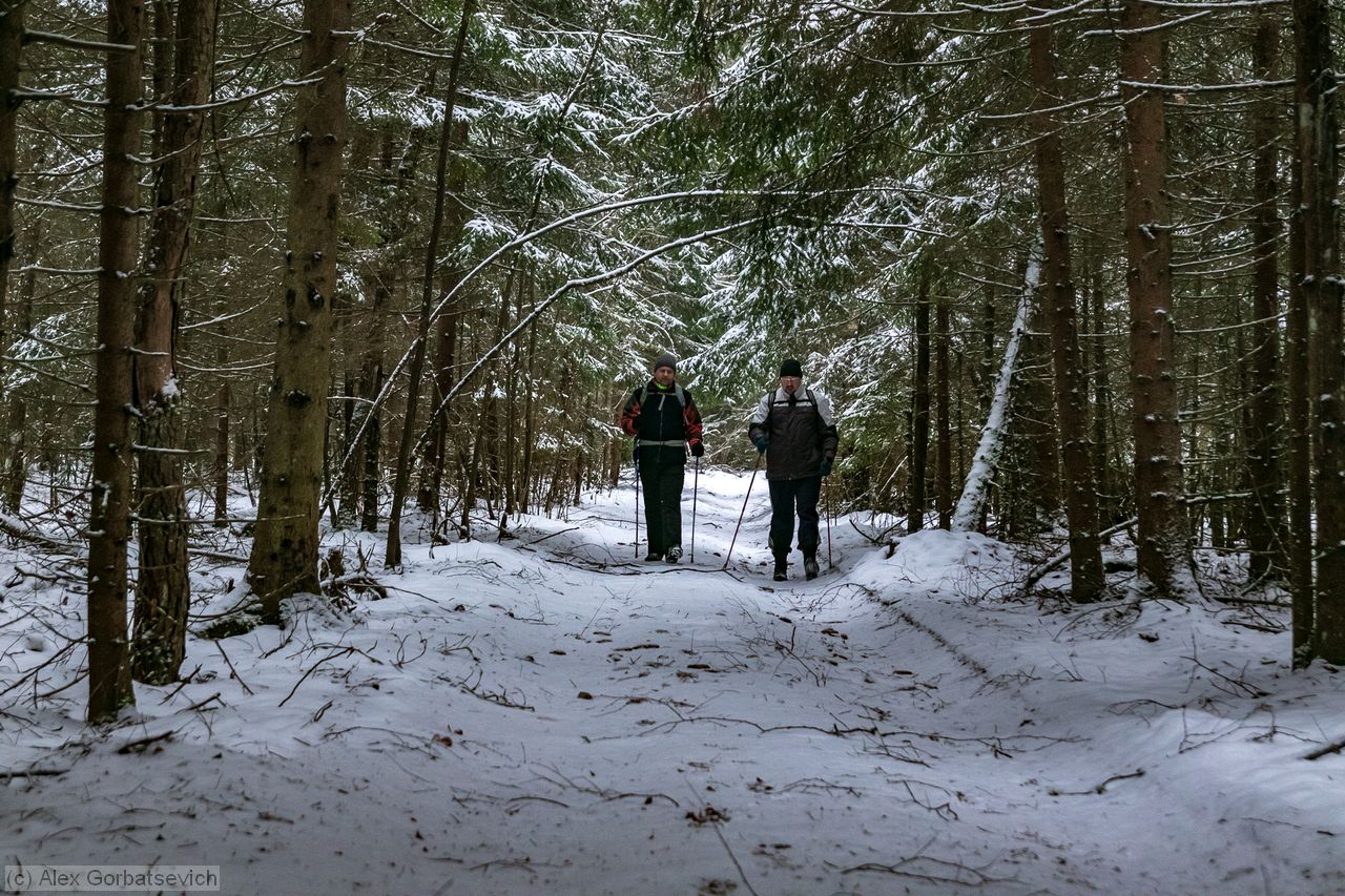 �� �����