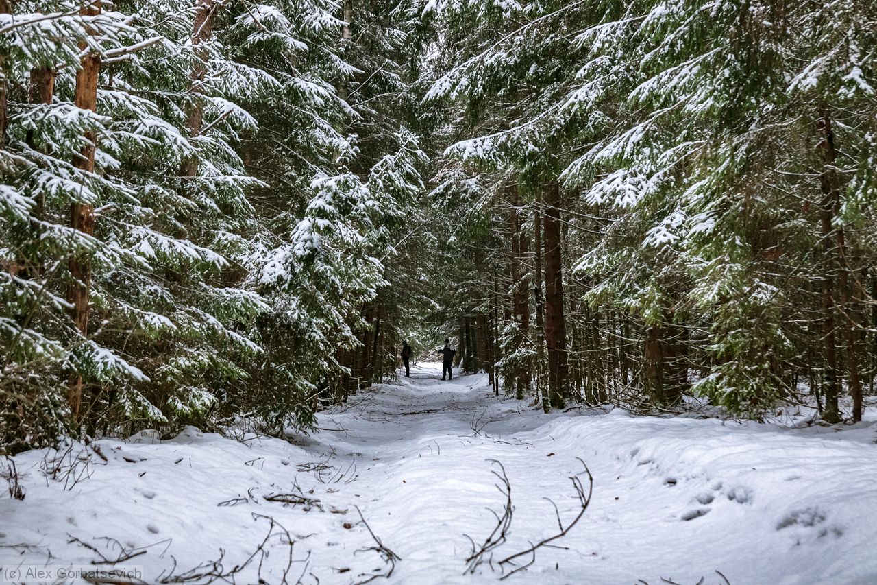 ���� �������� � �������