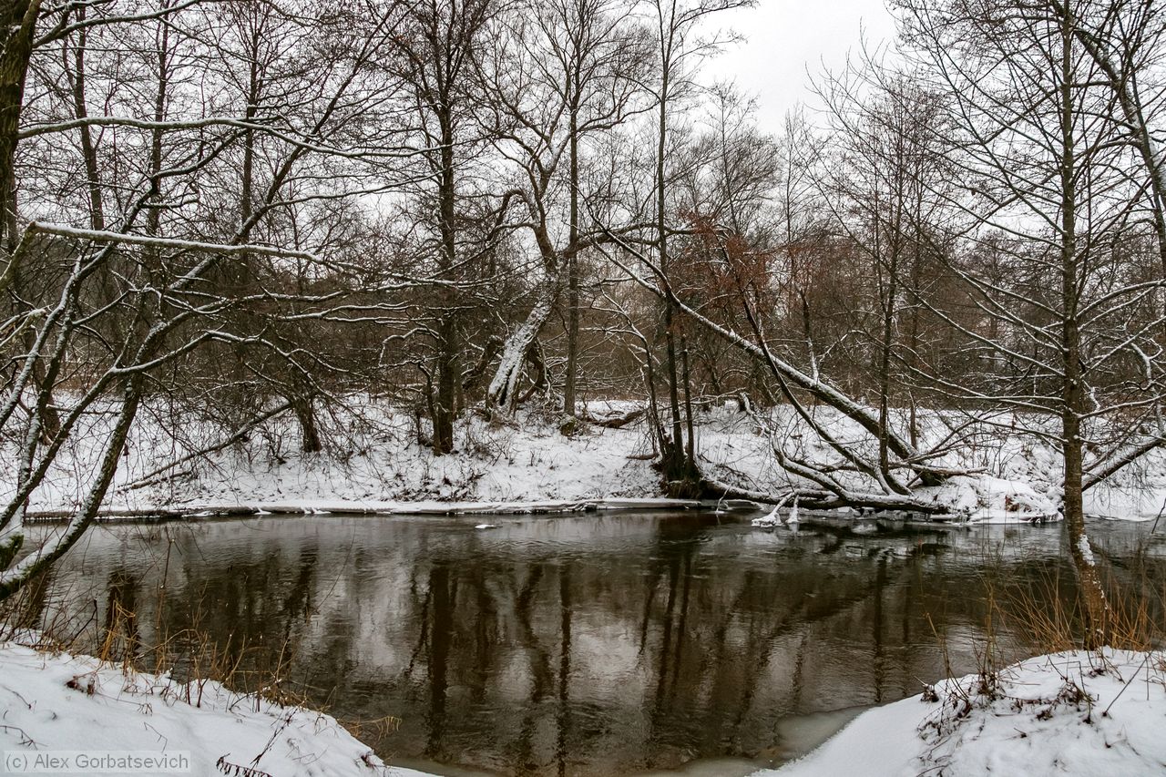 �. ������