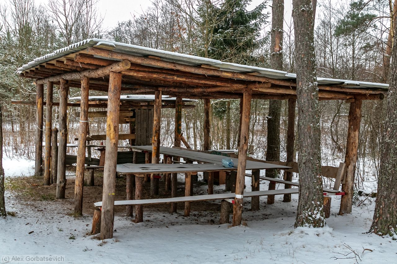 ����� �������