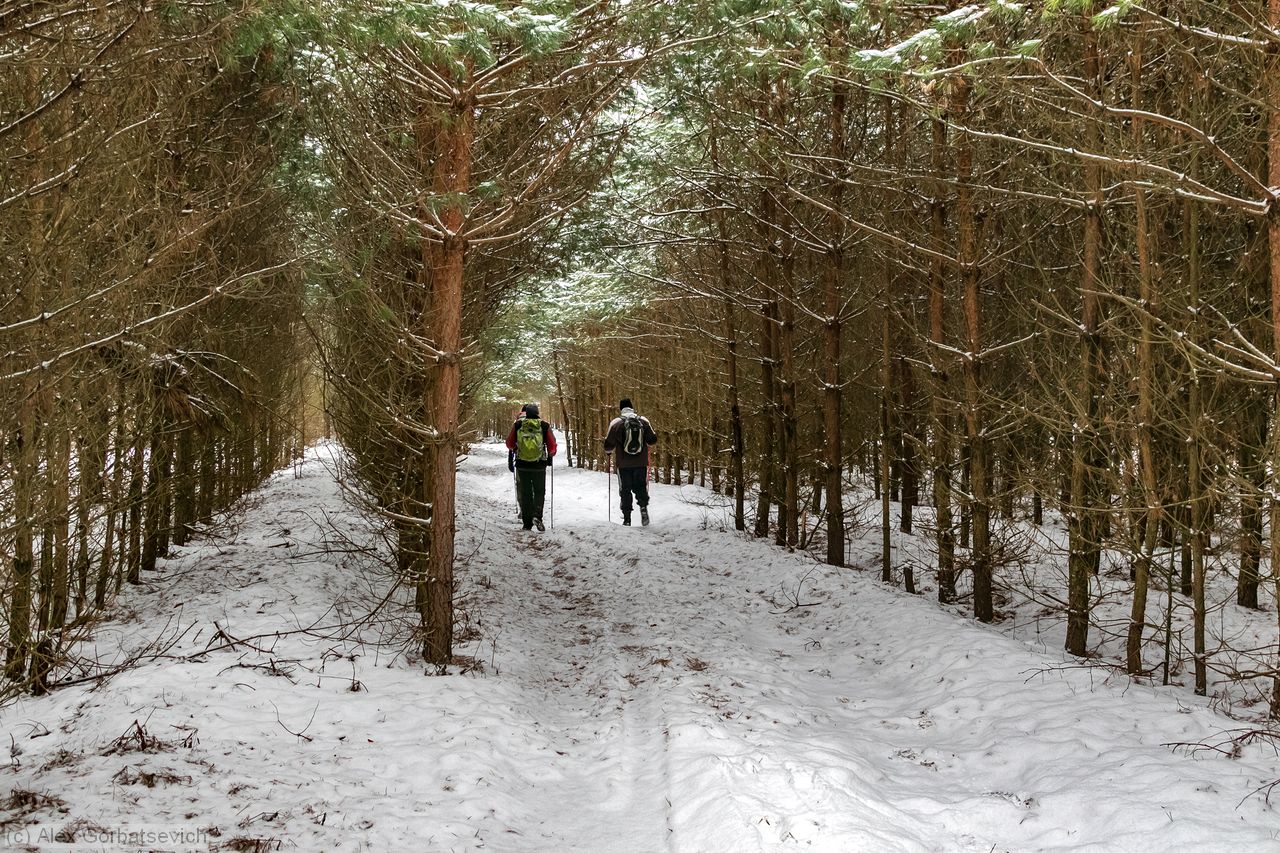 �� �������