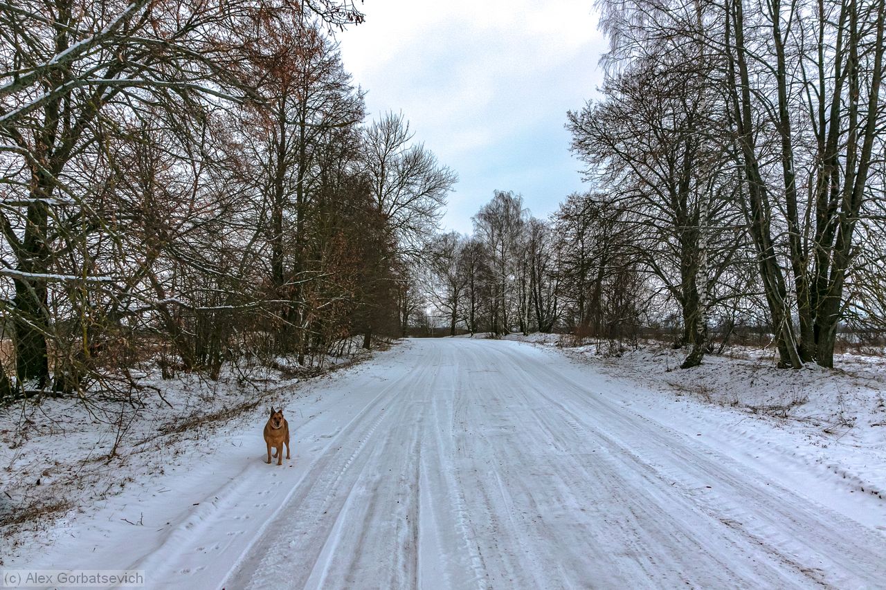 �� ��� �� ���� �������?