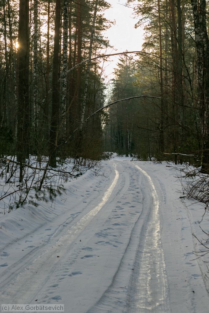 ������� ������