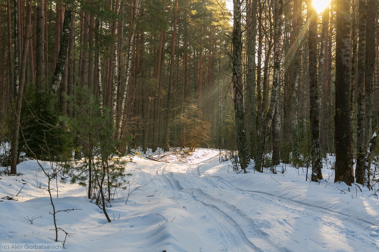 ������� � ����