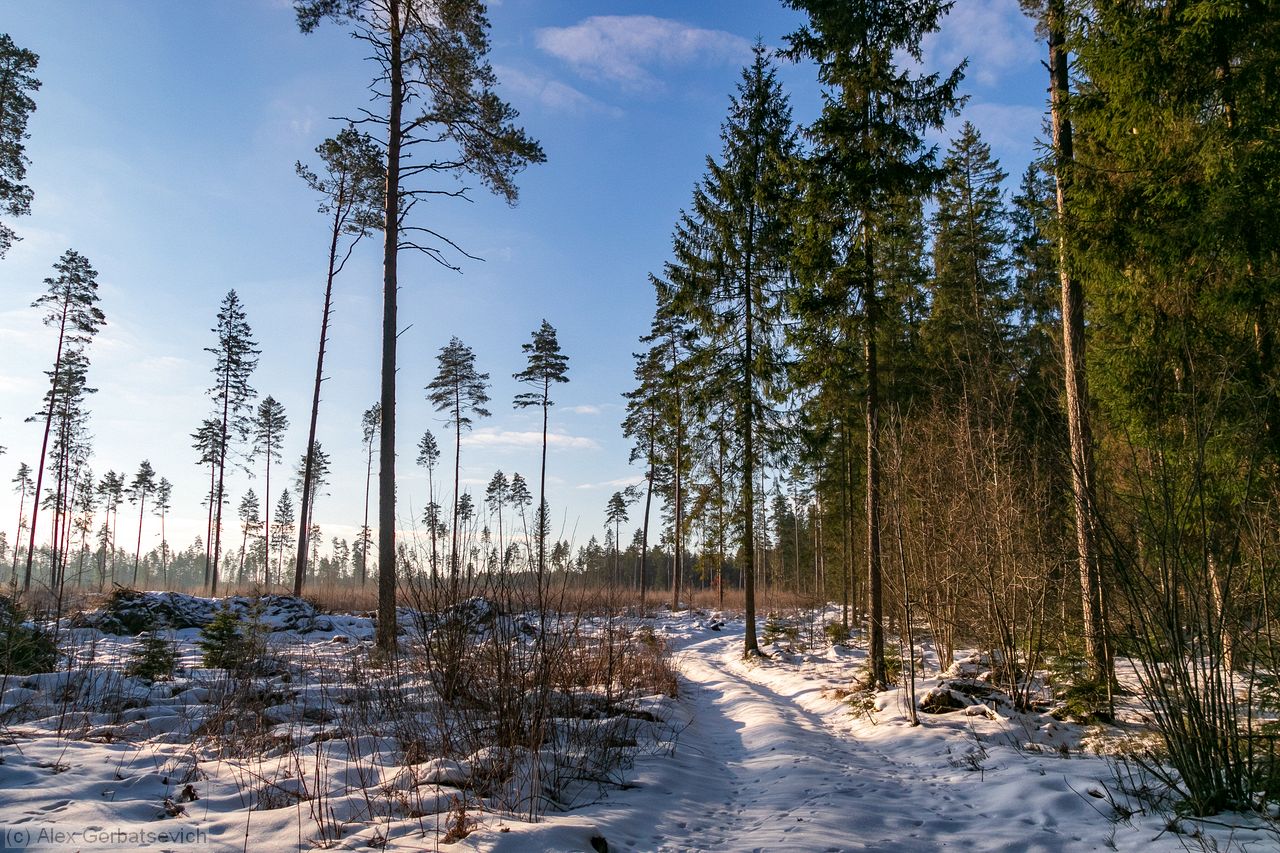 �� �������