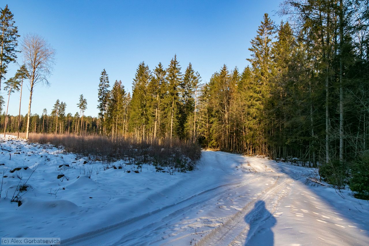 �������