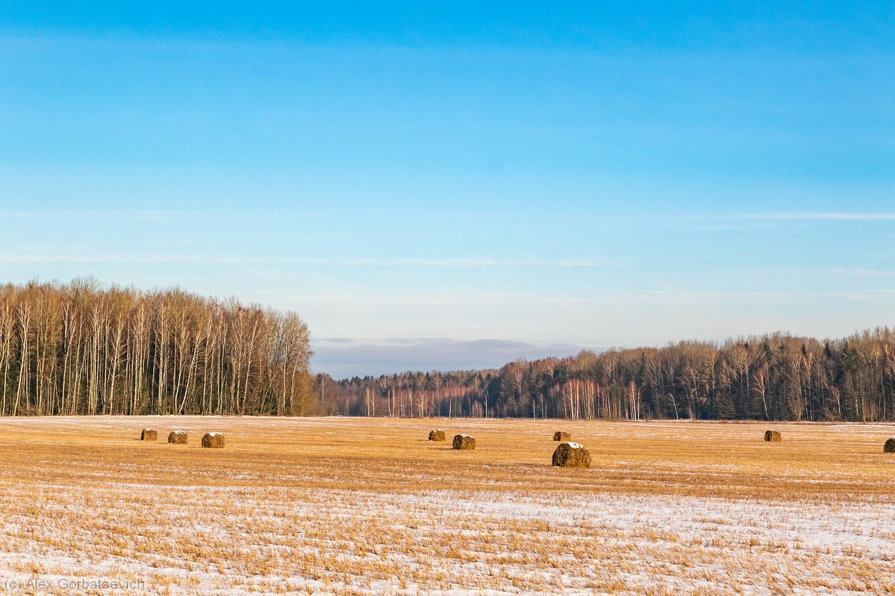 ������� ������ ���������..