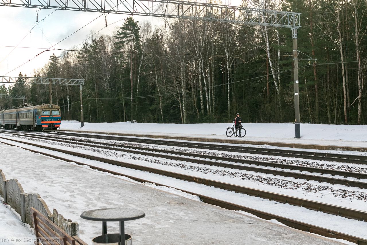 ��� � ��� ���� ���������