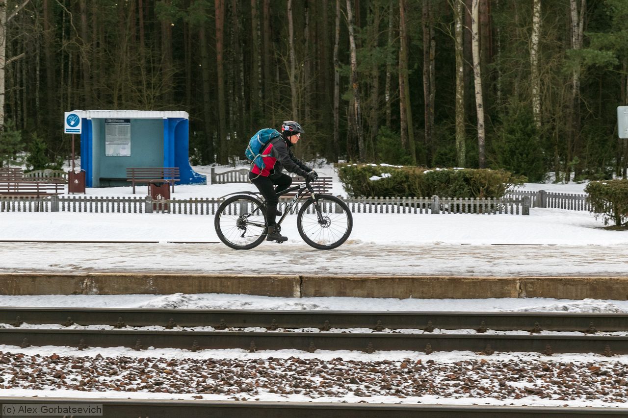 ���� ������ �� �������