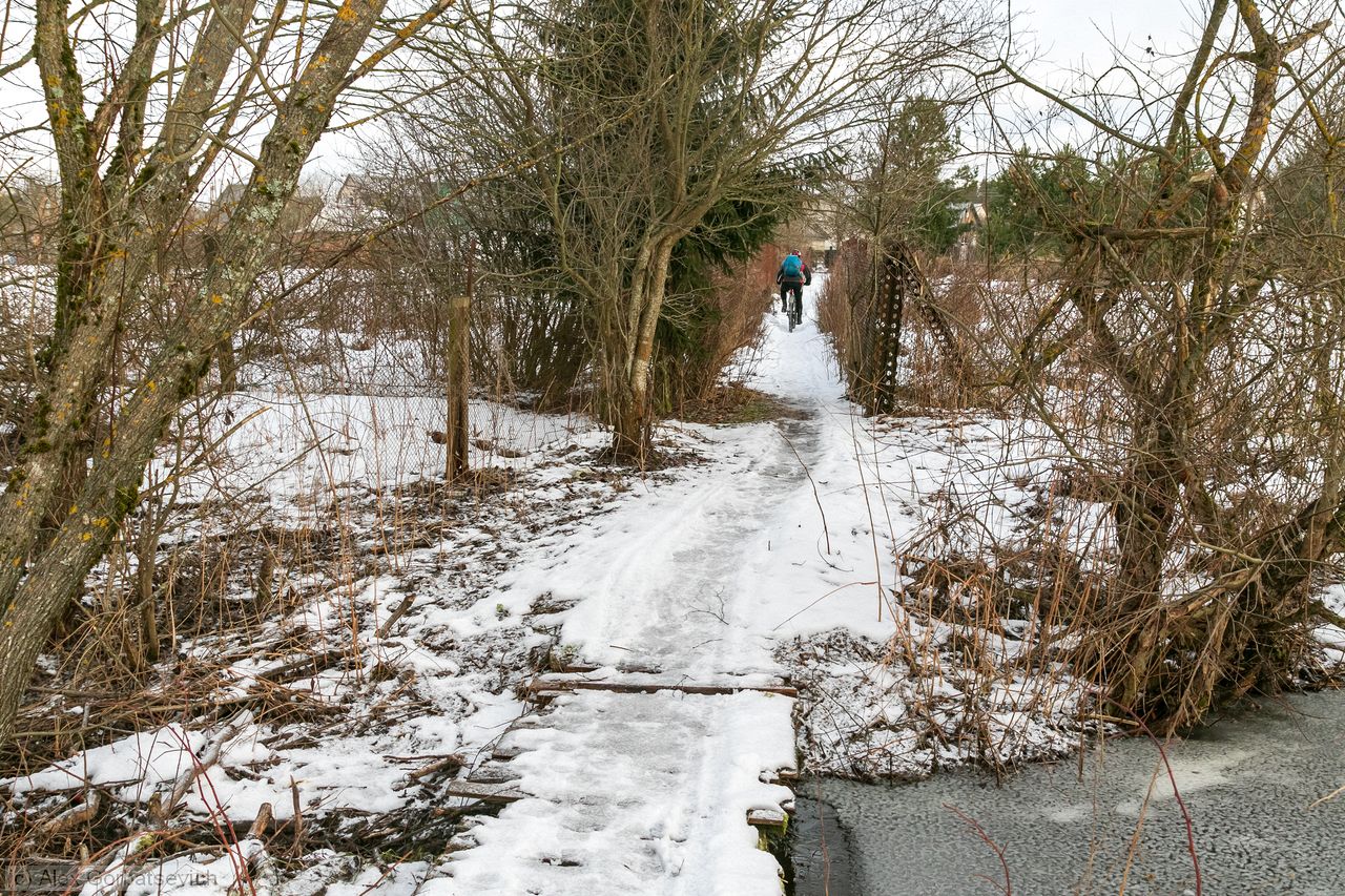 ����� ����