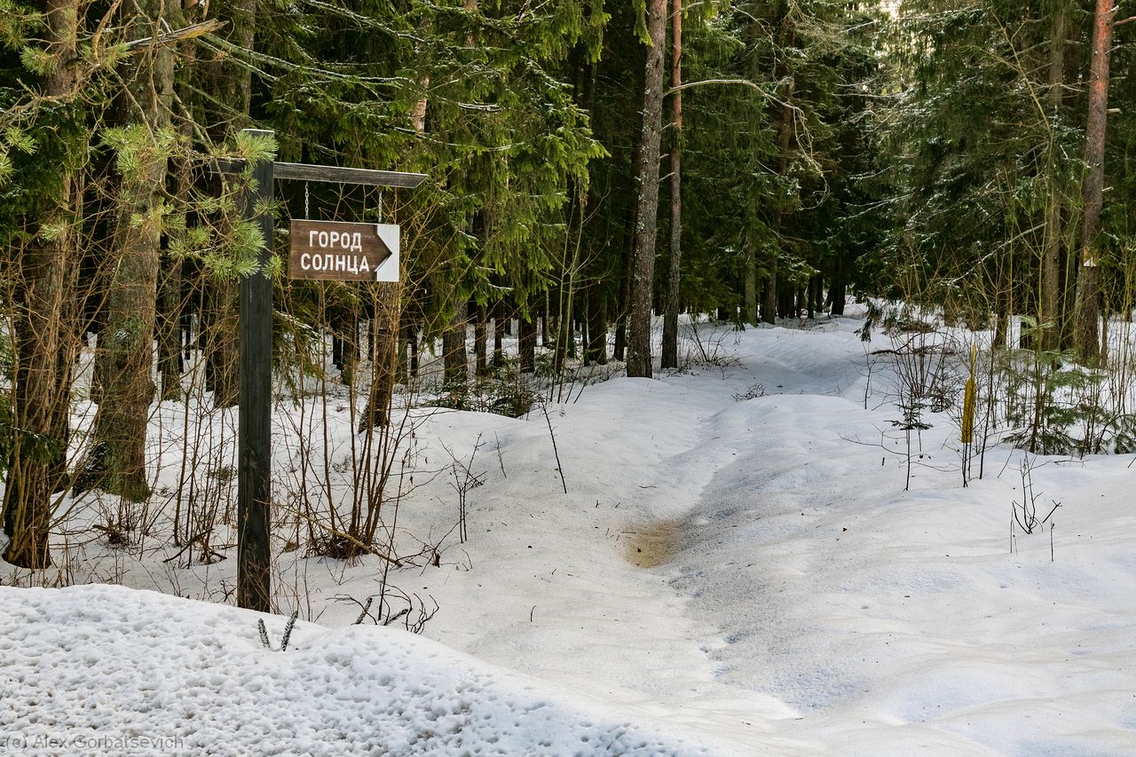 � ����� ������