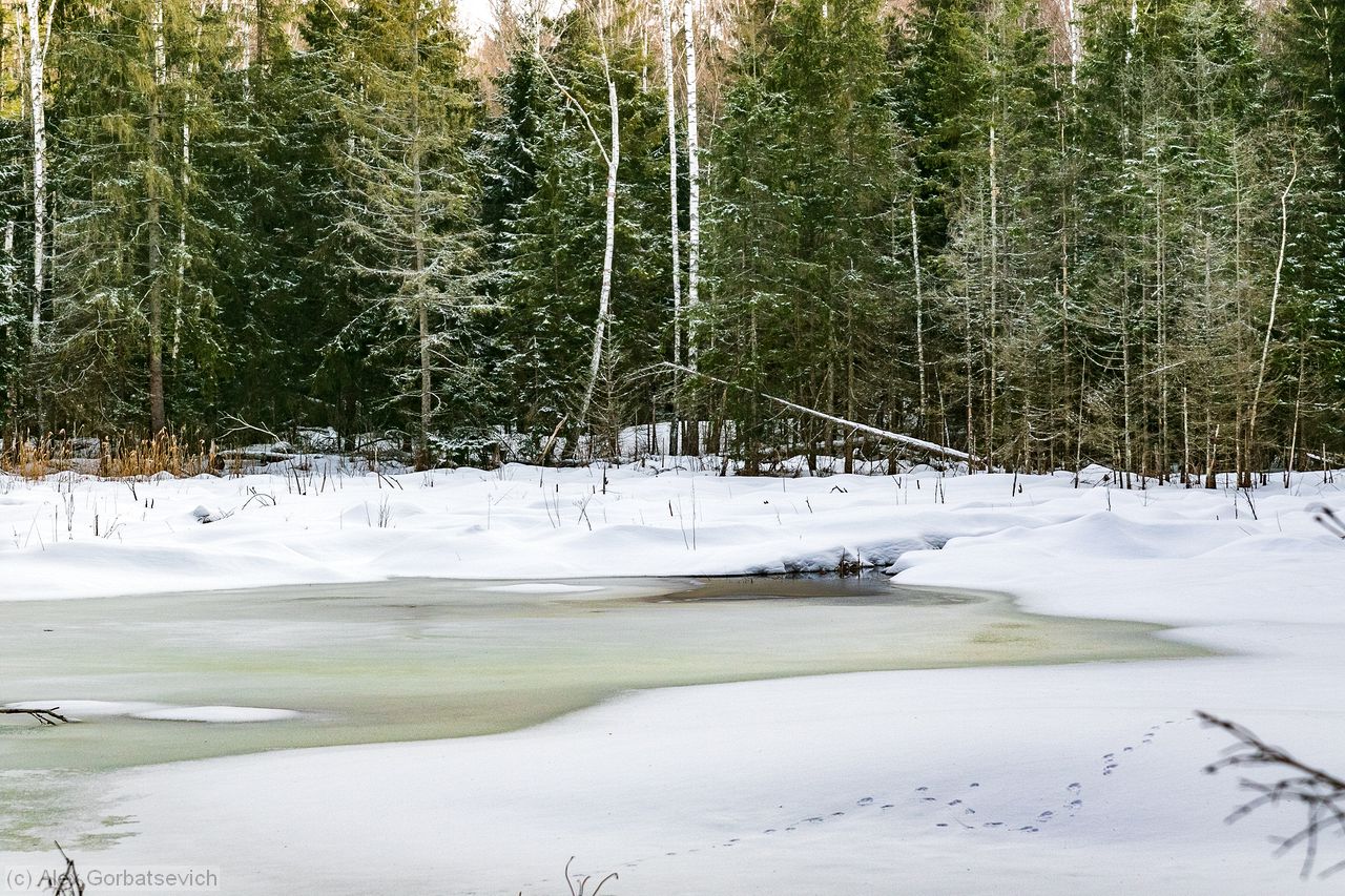 ������ �����