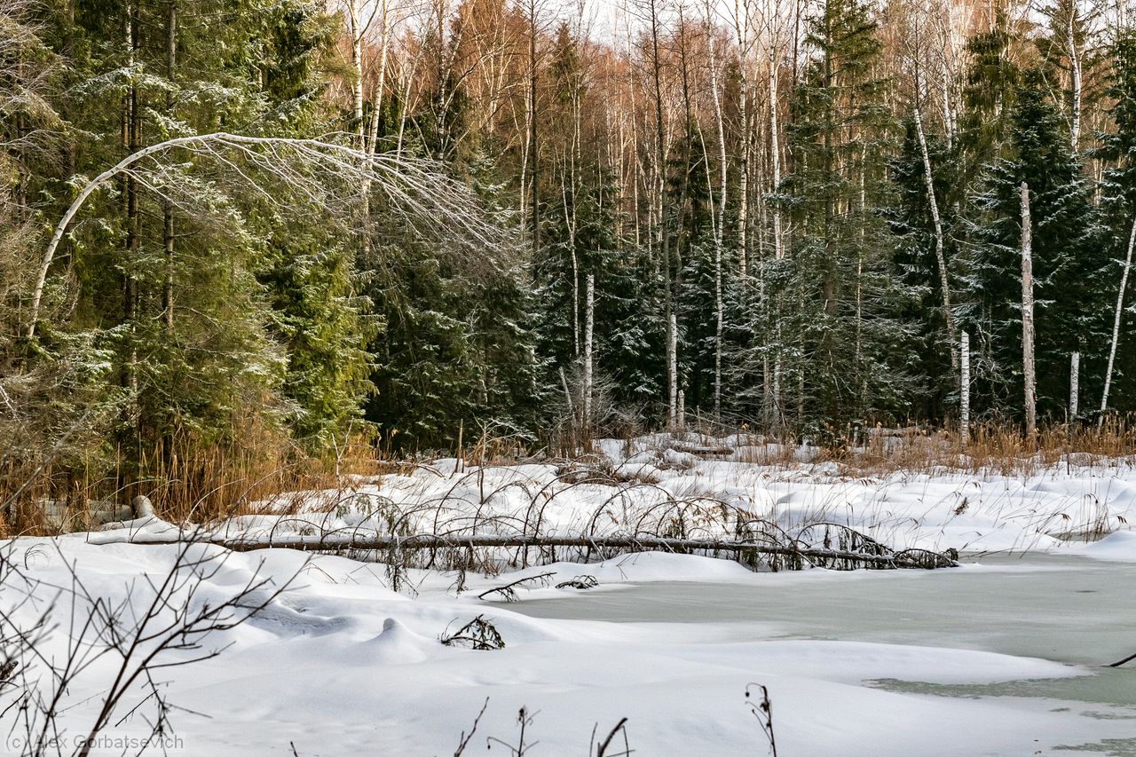 ������ �����