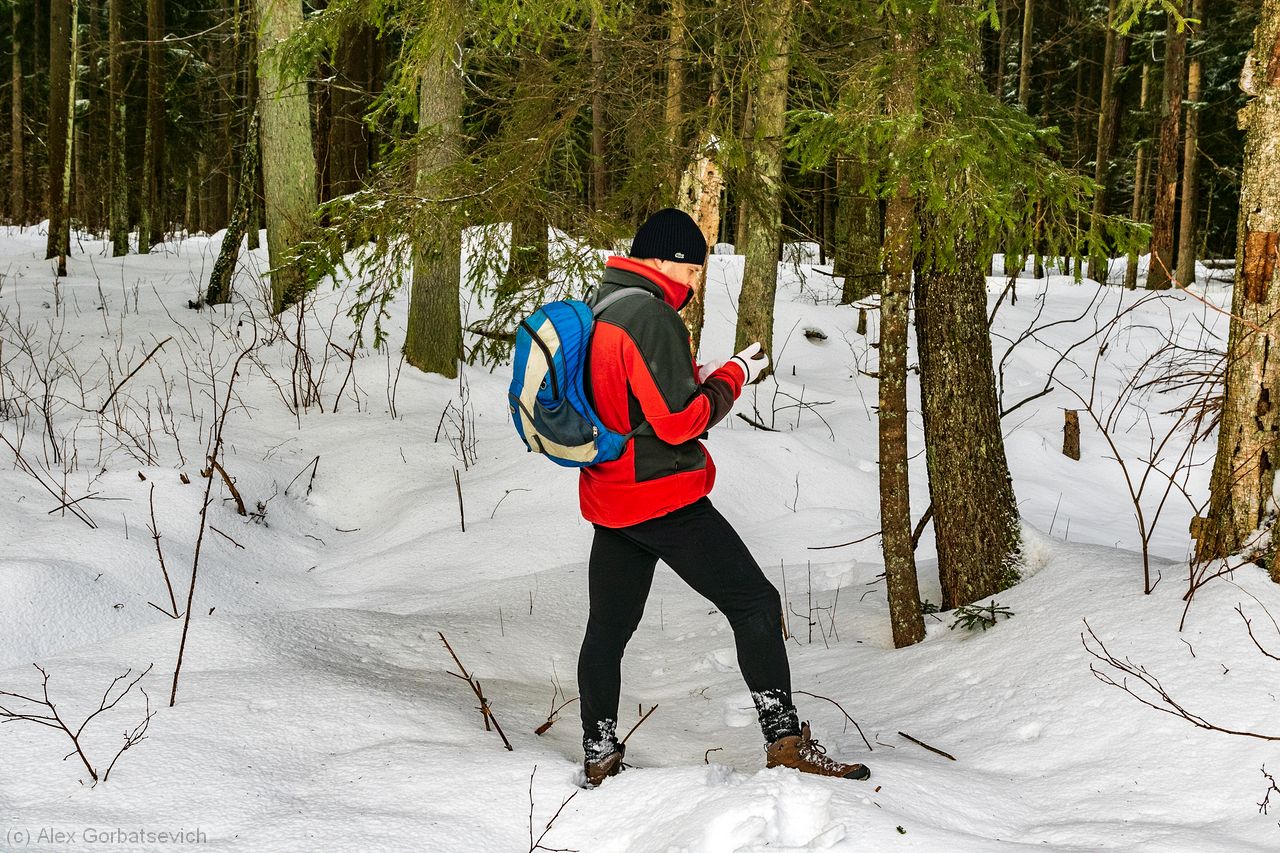 ��������� � ���������