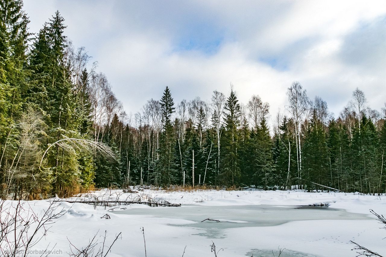 ������ �����