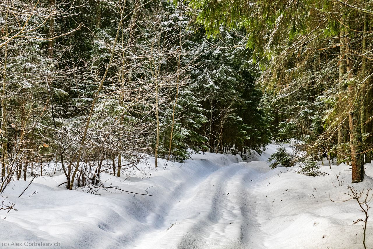 �������� ���